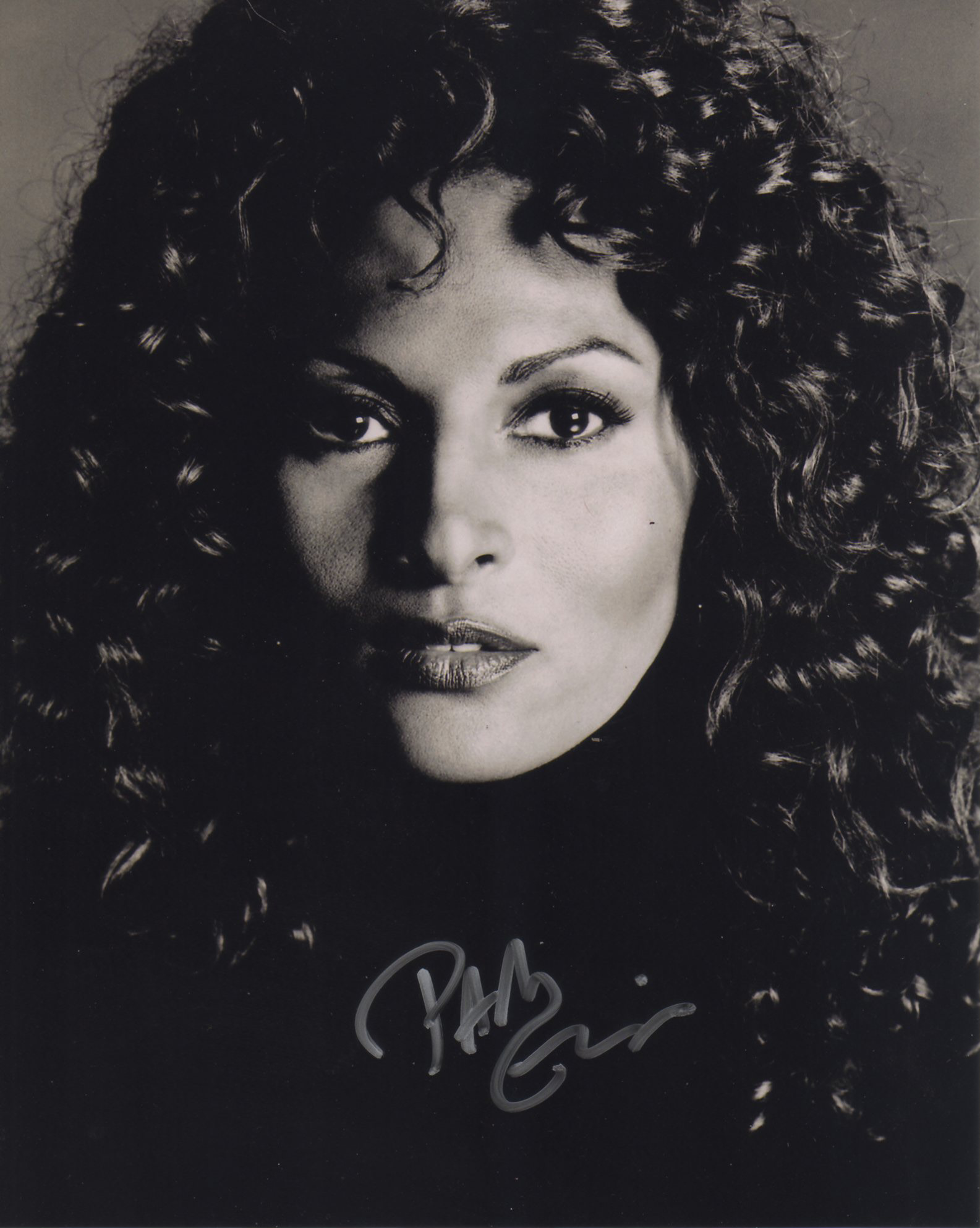 PAM GRIER 8" X 10" glossy photo reprint 